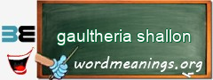 WordMeaning blackboard for gaultheria shallon